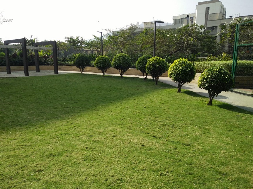 Greenscape Creation